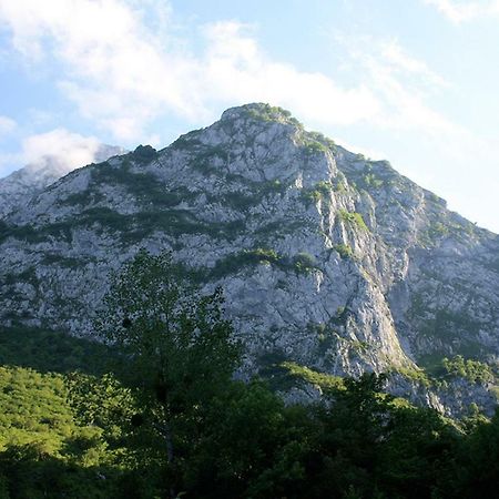 Hotel Rural Llerau Ponga Dış mekan fotoğraf