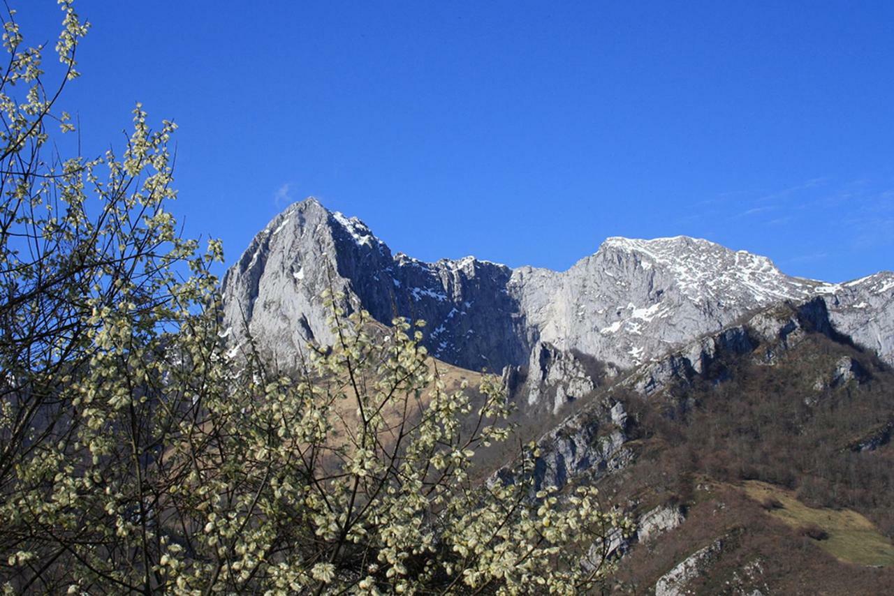 Hotel Rural Llerau Ponga Dış mekan fotoğraf
