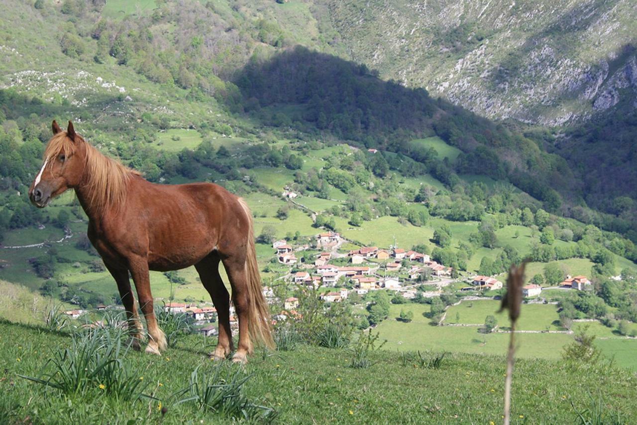 Hotel Rural Llerau Ponga Dış mekan fotoğraf