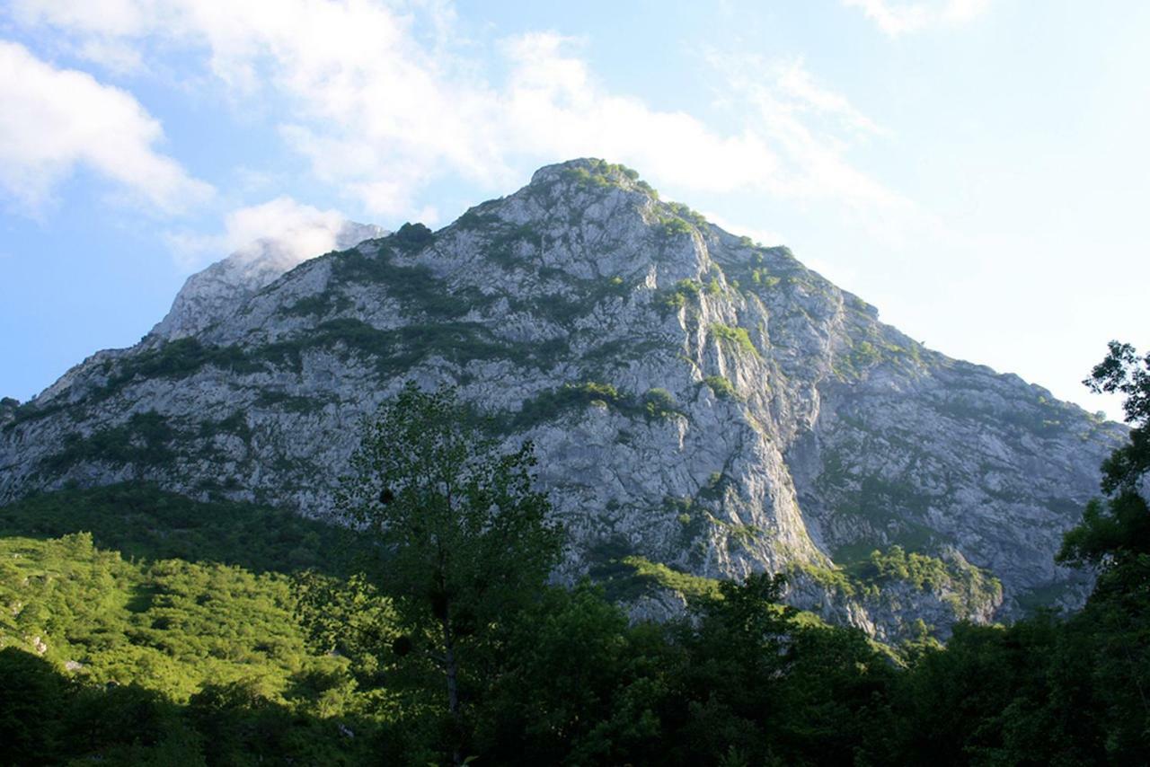 Hotel Rural Llerau Ponga Dış mekan fotoğraf